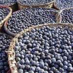 acai-berry-recipes-200X200-150x150