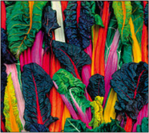chard