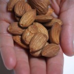 almond hand almond hand