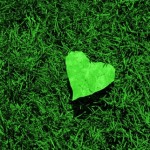 How are you showing your love for the planet this Earth Day?