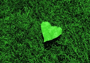 14 - going green