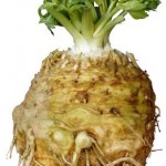 celeriac-root-with-tops-intact