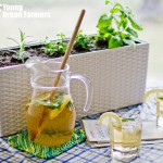 YUF_SummerWorkshop2